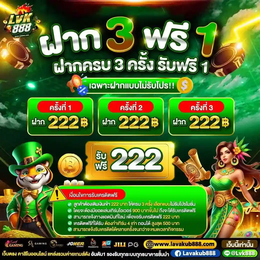 โปร4 (9)